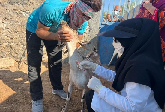 سرمی 